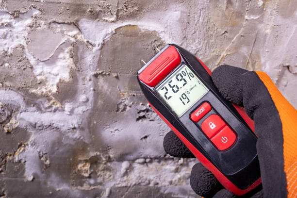 Certified Mold Removal in Mogadore, OH