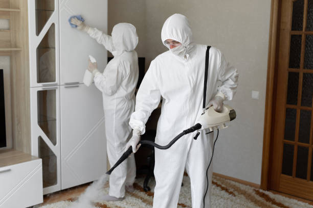 Best Attic Mold Removal  in Mogadore, OH